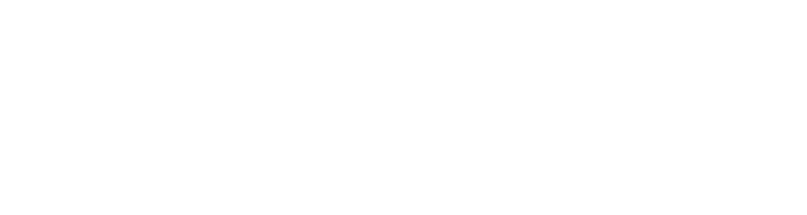 Element 3Logo Schabe